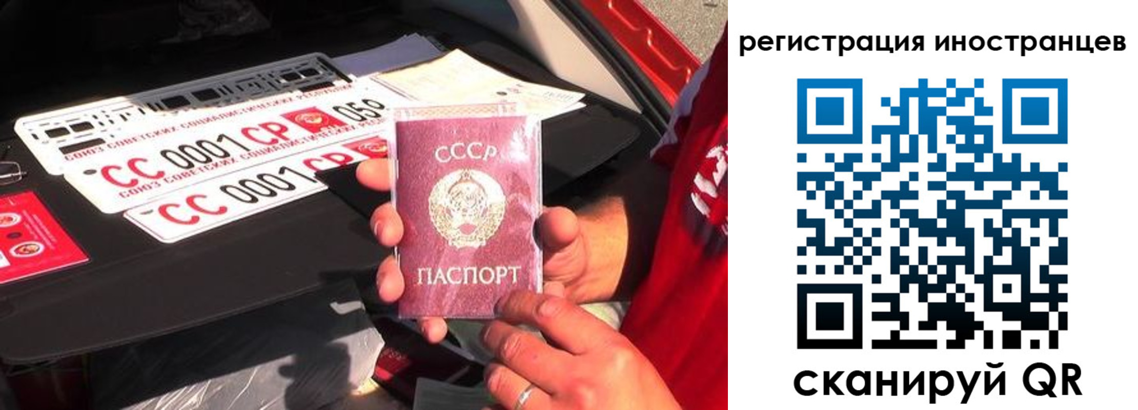 прописка гарантия в Алтае